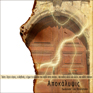 Apocalisse di Giovanni 2: 12-29